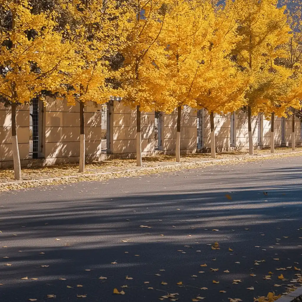 AI Person Remover-A minimalist logo of a row of golden autumn trees beside a wall, emphasizing rhythm, warmth, and urban serenity.