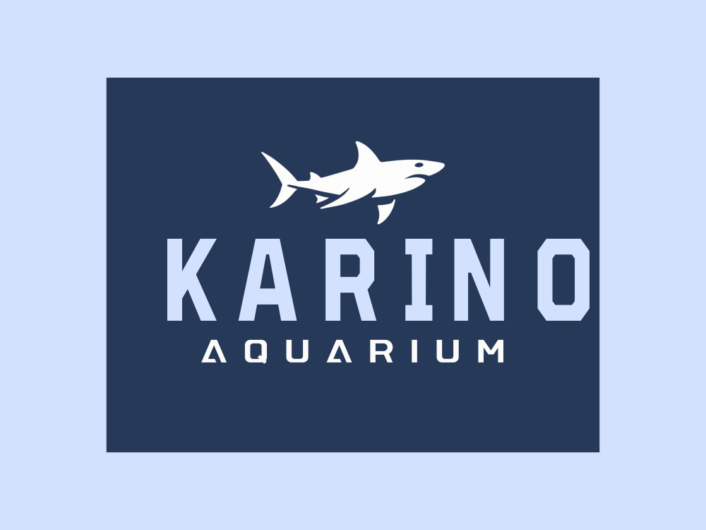 Minimalist shark logo, side profile, white negative-space body with deep navy eye and accents, smooth curves, crescent tail, centered on white, flat vector, modern ocean-tech style, no text.